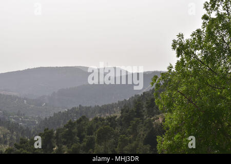 Nebuloso sulle colline di Gerusalemme - Albero sulla destra Foto Stock