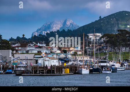 Morro Rock, Morro Bay, California Foto Stock