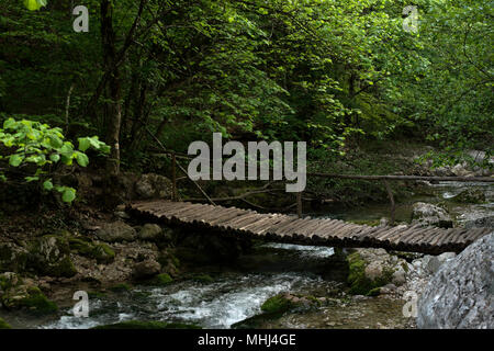 Il ponte in legno attraversa la Foresta Fiume Foto Stock