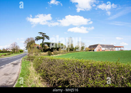 Campagna britannica in primavera.verdi campi e hedge,fienile,strada di campagna,siepe verde e blue sky.paesaggio Staffordshire REGNO UNITO,buona meteo.in Inghilterra. Foto Stock
