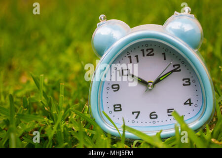 Sveglia sull'erba Foto Stock