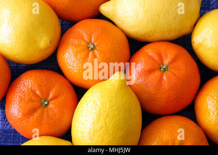 Gruppo di arance e di limoni Foto Stock