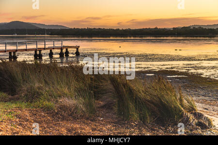 Alba paesaggi acquatici con Wharf - Catturare il tramonto dalla Woy Woy Waterfront sulla costa centrale, NSW, Australia. Foto Stock