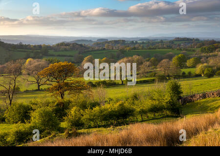 Worston Moor; sera; Lancashire, Regno Unito Foto Stock