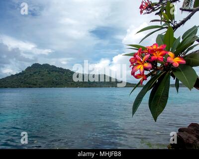 Remote isole tropicali di Truk Lagoon nel Pacifico del Sud Foto Stock