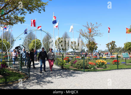 I turisti a piedi attraverso l International Peace Gardens presso Tulip città durante la Skagit Valley Tulip Festival in Mount Vernon, Washington, Stati Uniti d'America. Foto Stock