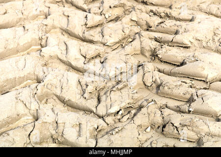 I cingoli del trattore nel fango durante la Skagit Valley Tulip Festival in Mount Vernon, Washington. A causa delle pesanti piogge, il trattore lasciato profonde impr Foto Stock