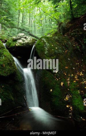 Lulu Falls, Pittsfield la foresta di stato, Massachusetts Foto Stock