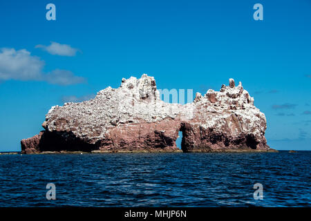 Los islotes messico espiritu santu isola sea lion retreat Foto Stock