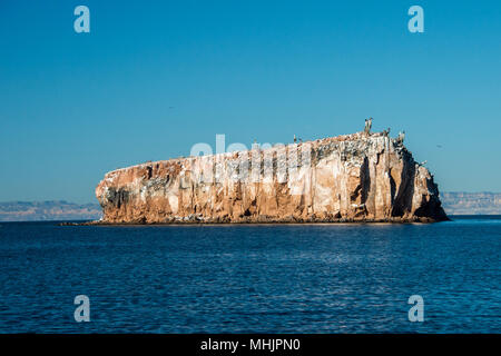 Los islotes messico espiritu santu isola sea lion retreat Foto Stock