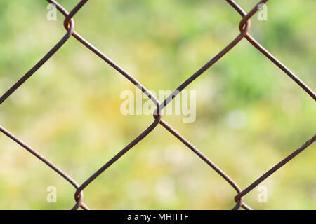 Recinto di filo con sfondo sfocato che è verde Foto Stock