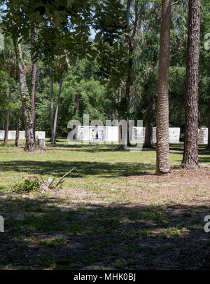 Cabine slave al Kingsley Plantation a Timucuan preservare Jacksonville, Florida. Essi sono stati costruiti in un guscio di ostrica calcestruzzo chiamato tabby Foto Stock