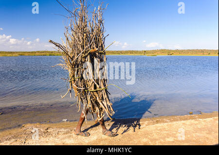 L'uomo africano porta un enorme mazzo di legno Foto Stock