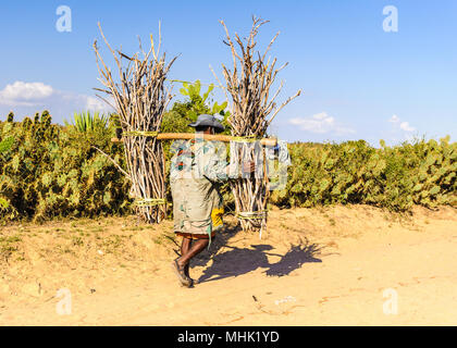 L'uomo africano porta un enorme mazzo di legno Foto Stock