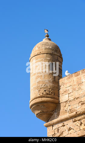 Cittadella fortificata e pareti in Essouira Marocco Foto Stock