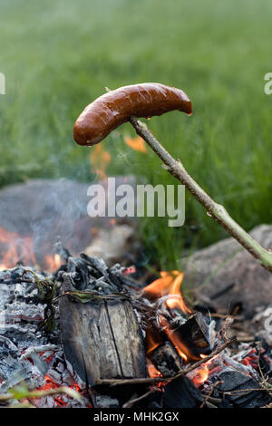 Gustose salsicce preparate sul fuoco. Una vacanza pasto preparato all'aria aperta. Stagione della primavera. Foto Stock