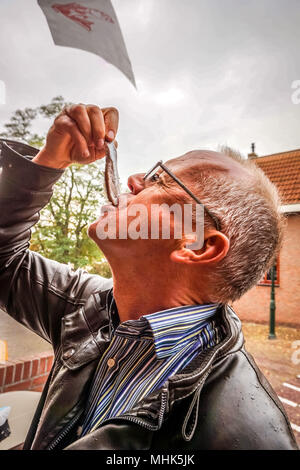 Una sana tradizione di mangiare un aringa cruda come uno snack o un pasto gourmet per essere goduta da i vecchi e i giovani in Urk nei Paesi Bassi Foto Stock