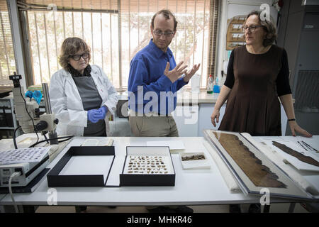 Gerusalemme. Il 2 maggio, 2018. Autorità di Antichità Israele (IAA) membri dello staff mostra frammenti di uno script presso il dipartimento di IAA nel Museo di Israele a Gerusalemme, il 2 maggio 2018. Tecnologia di imaging avanzata sviluppata originariamente per la NASA ha rivelato precedentemente inosservati iscritto su frammenti dei Rotoli del Mar Morto, la IAA ha rivelato il martedì. Inoltre uno dei nuovi ravvisati e decifrati i passaggi, scritto in inizio ebraico, accenni alla esistenza di una rotellina di scorrimento mai trovato e ancora sconosciuta ai ricercatori. Credito: JINI/Xinhua/Alamy Live News Foto Stock