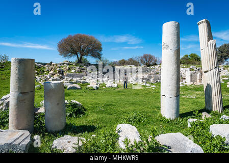 Anfiteatro di Teos antica città. Sigacik, Seferihisar, Izmir, Turchia Foto Stock