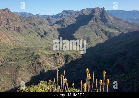 Spagna, Gran Canarie, Fataga valley, Mirador Degollada de las Yeguas Foto Stock