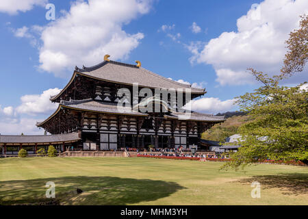 Il bellissimo Tempio di Todai-ji e il grande Buddha hall di Nara, Giappone Foto Stock