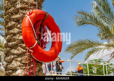 Red anello di vita appesa alla data palm nel sito battesimale di Qasr el Yahud sul Giordano dove secondo la Bibbia, Gesù Cristo è battezzato da Giovanni th Foto Stock