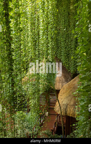 Bungalow appartati in mezzo alla giungla. Questi isolati di capanne in legno sono il luogo ideale per una fuga romantica. Essi sono situati nel mezzo della giungla. Foto Stock