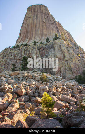 Caduto rocce alla base del diavolo Torre del Monumento Nazionale in Wyoming. Visto dal percorso intorno caduti letto di roccia del monumento. La mattina presto la luce. Foto Stock