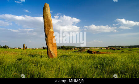 Antica Civiltà Megalitica stela campo in Axum, Tigray, Etiopia Foto Stock