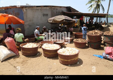 In Costa d'Avorio, a cococdy Angré terminus 81/82, vediamo una forte animazione all'inizio della sunshine: è la vendita di pollo brasato. Foto Stock