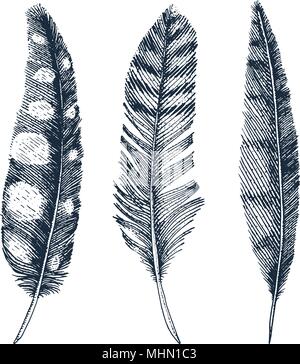 Set di realistica rustico piume di uccelli diversi, gufi, Pavoni, Anatre. incisi disegnati a mano nel vecchio schizzo vintage. Illustrazione Vettoriale. Illustrazione Vettoriale