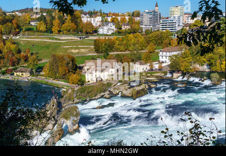 Le Cascate del Reno vicino a Zurigo in estate indiana, la cascata più grande in Svizzera Foto Stock