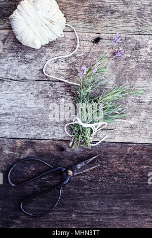 Fresh cut lavanda legati insieme in un fascio con mobili antichi di forbici. Foto Stock