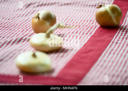 Bianco fresco e cipolle rosse o un rosso tbablecloth Foto Stock
