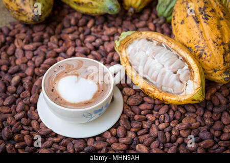 Mature pod di cacao e le fave di cacao setup sul legno rustico sfondo. hot chocolat. Foto Stock