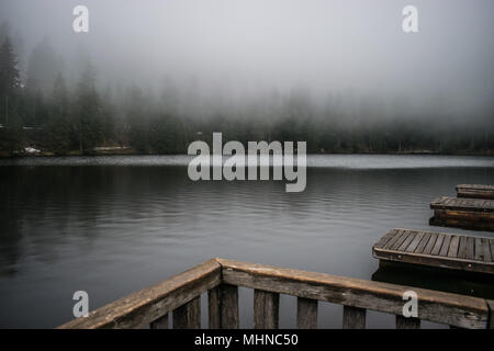 Il lago Mummelsee in Seebach, Foresta Nera, Baden-Wuerttemberg, Germania, Europa Foto Stock