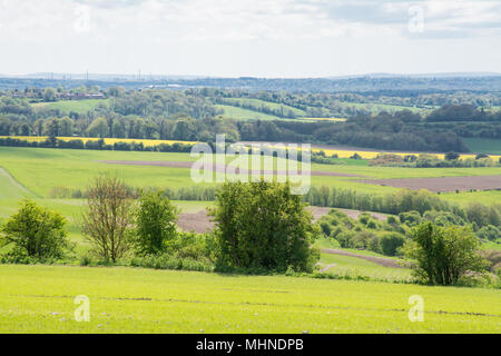 Testa di Cheesefoot viewpoint sulla South Downs modo vicino a Winchester. South Downs Parco Nazionale di paesaggio in maggio. Foto Stock