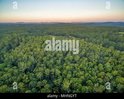 Vista aerea della nativa foresta Australiana e colline al tramonto Foto Stock