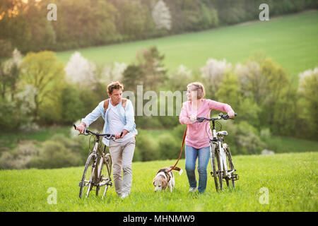 Bella coppia senior con biciclette e cane fuori in primavera la natura. Foto Stock