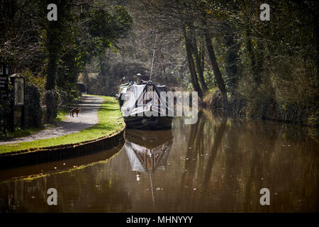 Ormeggiate imbarcazioni strette sui posti barca presso il Peak Forest Canal nel picco elevato ad Altavilla Vicentina nel Derbyshire, Inghilterra Foto Stock