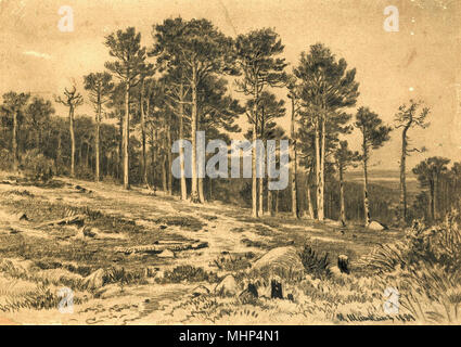 Shishkin Ivan - bordo di una foresta di pini Foto Stock