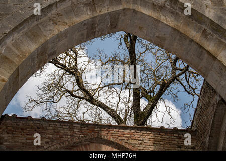San Galgano chiesa senza soffitto senza tetto in Toscana Italia Foto Stock