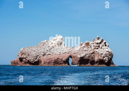 Los islotes messico espiritu santu isola sea lion retreat Foto Stock