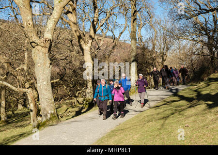 Escursionisti a piedi su via via a Aber cade o Rhaeadr Fawr in Coedydd Aber Parco Nazionale di Snowdonia. Abergwyngregyn Gwynedd Wales UK Foto Stock