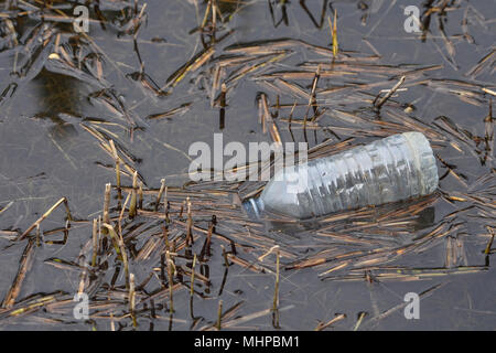 Un scartato drink di plastica bottiglia galleggiante sulla superficie di uno stagno. Foto Stock