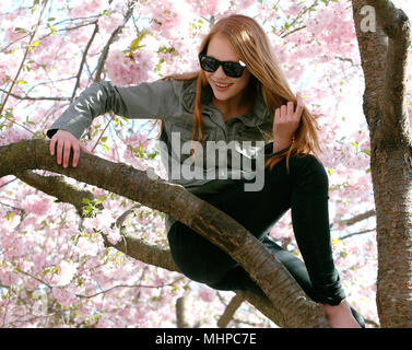 Una giovane donna seduta felice in un fiore ciliegio. Foto Stock