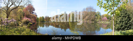 Panorama del lago a Dortmund Romberg parco giardino botanico nel corso del mese di aprile Foto Stock