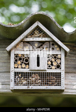 Un bug house per incoraggiare insetti utili nel giardino. Foto Stock