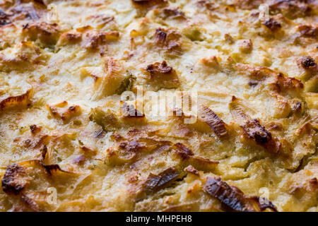 Torta di verdure con porri e formaggio / Pirasali Borek. cibo organico Foto Stock