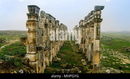 Un grande porticato a Apamea nella nebbia, parzialmente distrutto, Siria Foto Stock